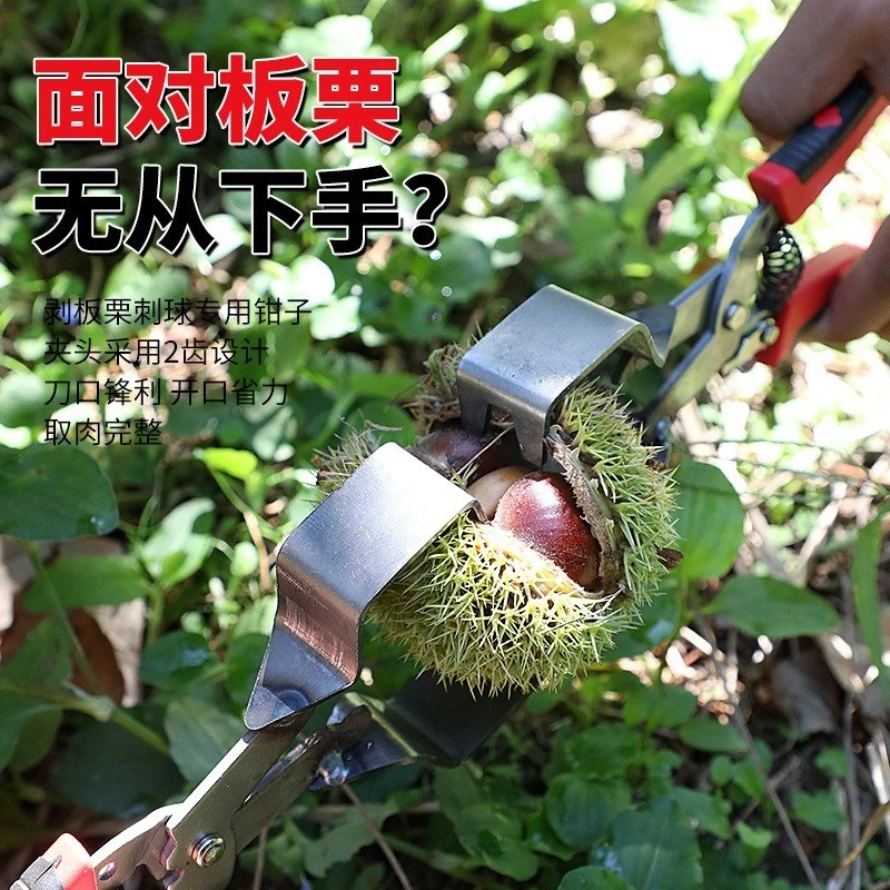 剥板栗刺球神器栗子外壳去皮毛夹脱蓬器开口超省力拨板栗开壳工具
