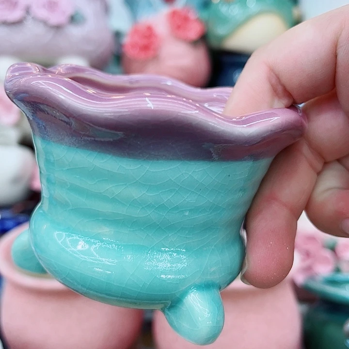 多肉植物陶瓷花盆