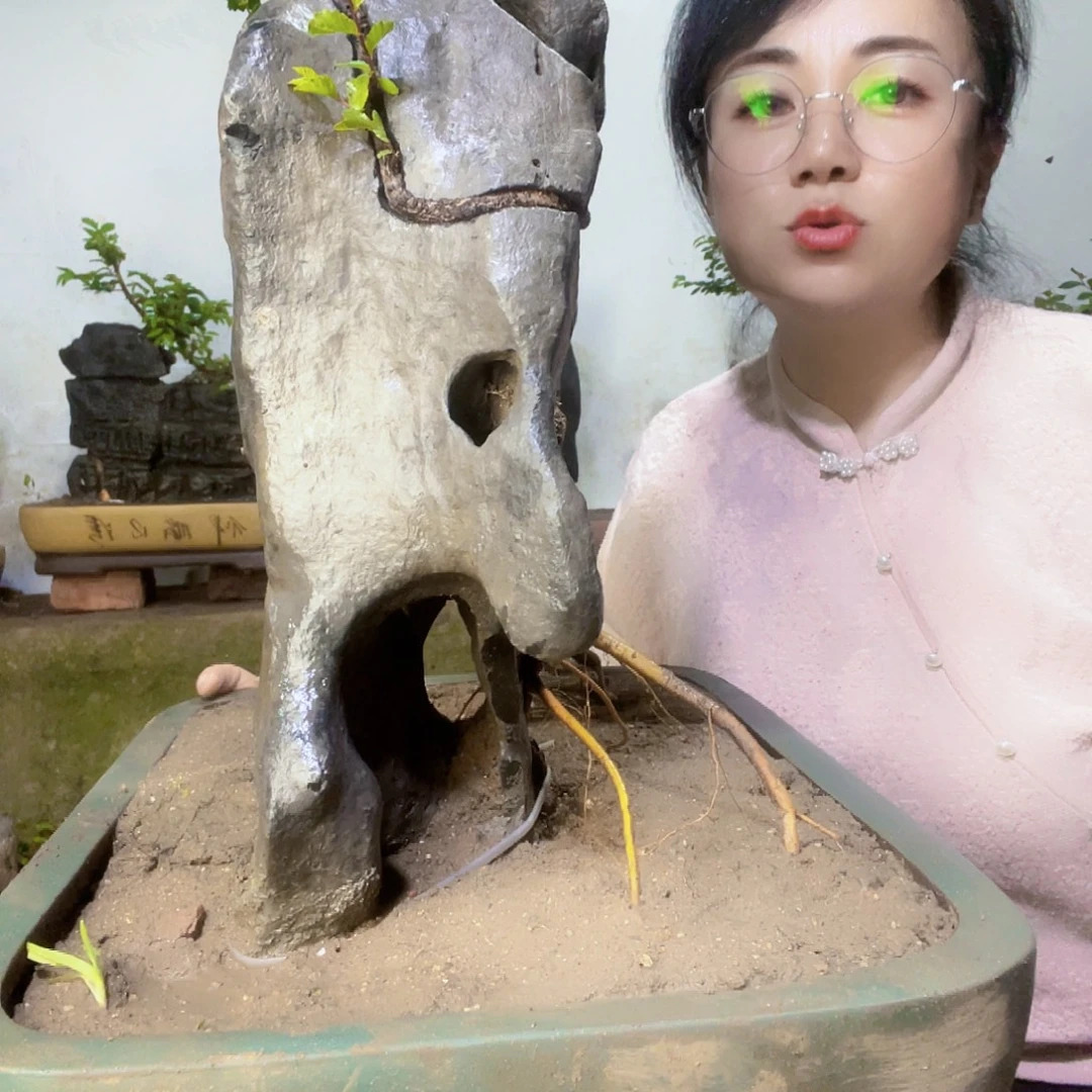 用***3直播间不见不散来看看有没有