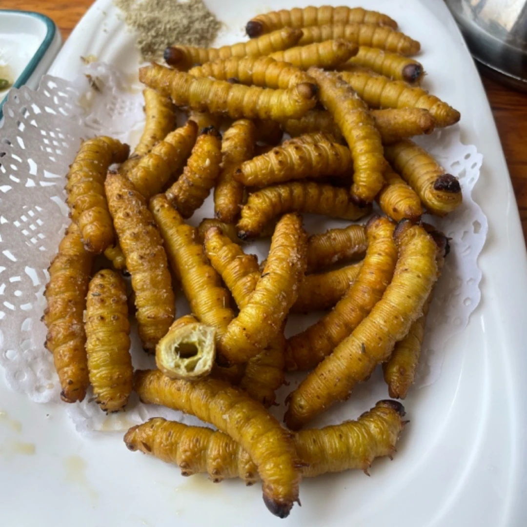 青岛本地现挖新鲜豆虫（65–68只/斤）顺丰速运