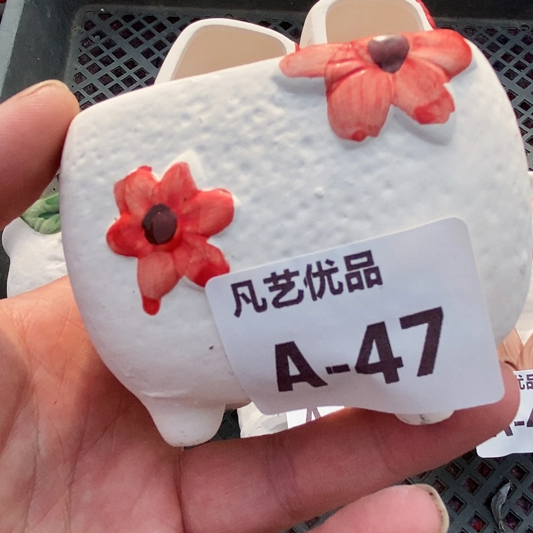 花盆A47量拍满9.9包邮