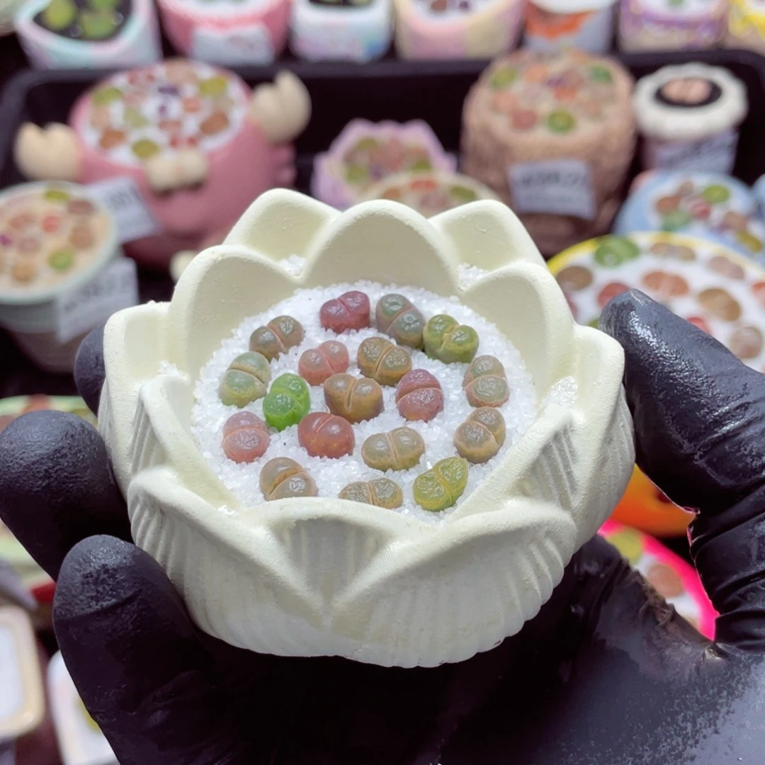 w3835--带盆土发货，零下地区拍保温箱