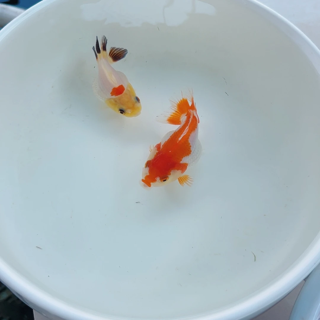 用***7海水11111111111111