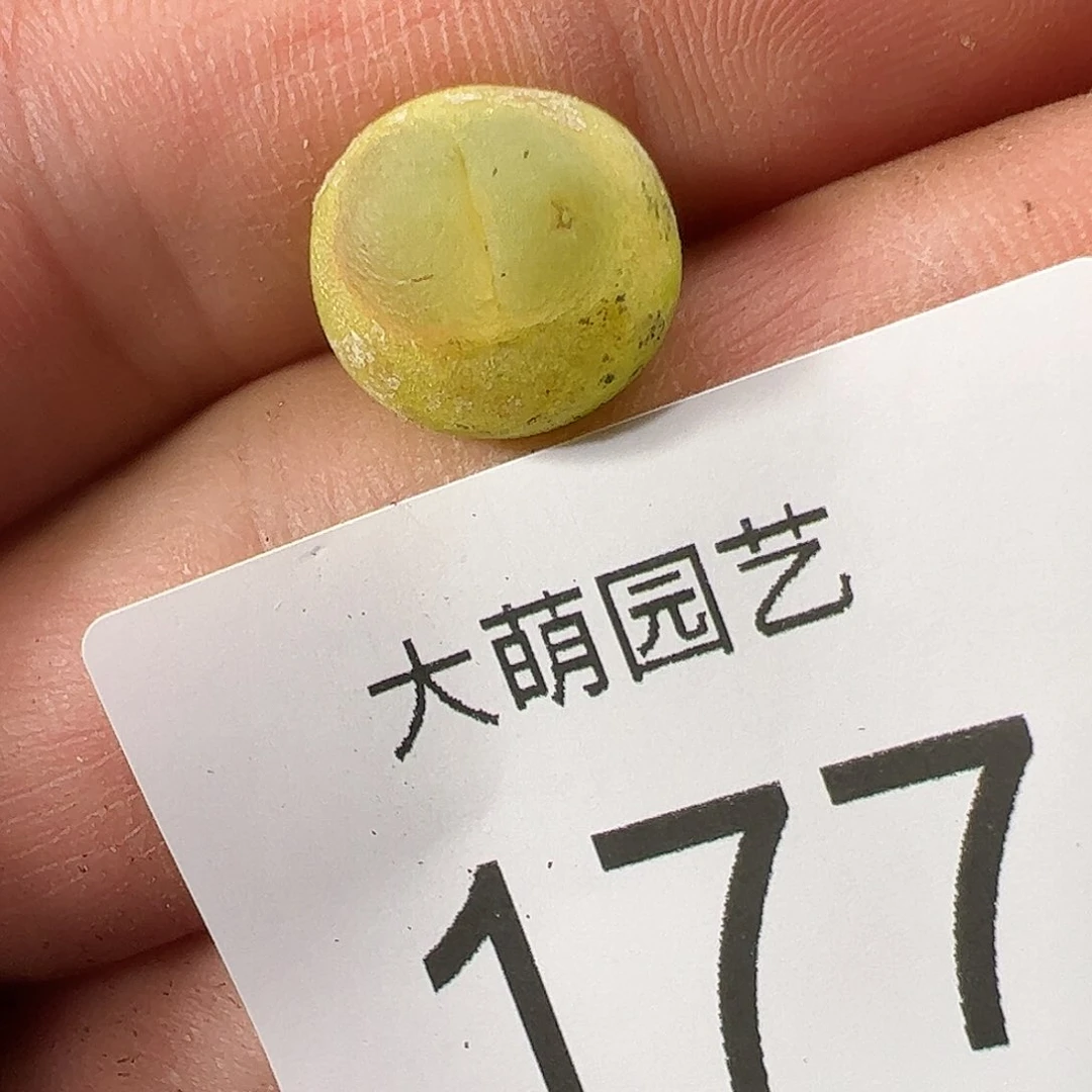 0000177 一物一拍……