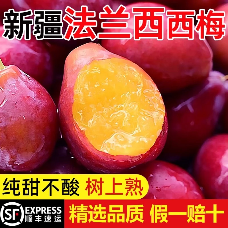 【新疆直发空运】新疆法兰西西梅喀什纯甜李子应当季新鲜孕妇水果