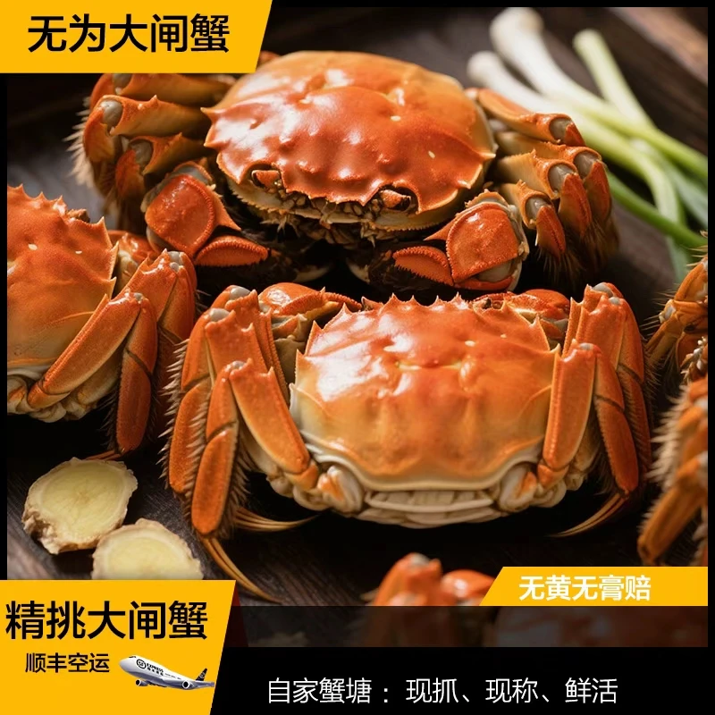 【活蟹】无为大闸蟹公蟹（3.9-4.2两）母蟹（2.9-3.2两）6-9只活动特惠