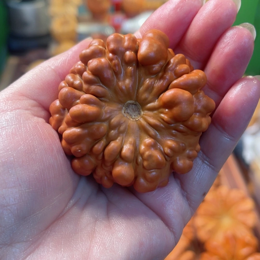 ?***?墨西哥葫芦手把爆红疙瘩微瑕