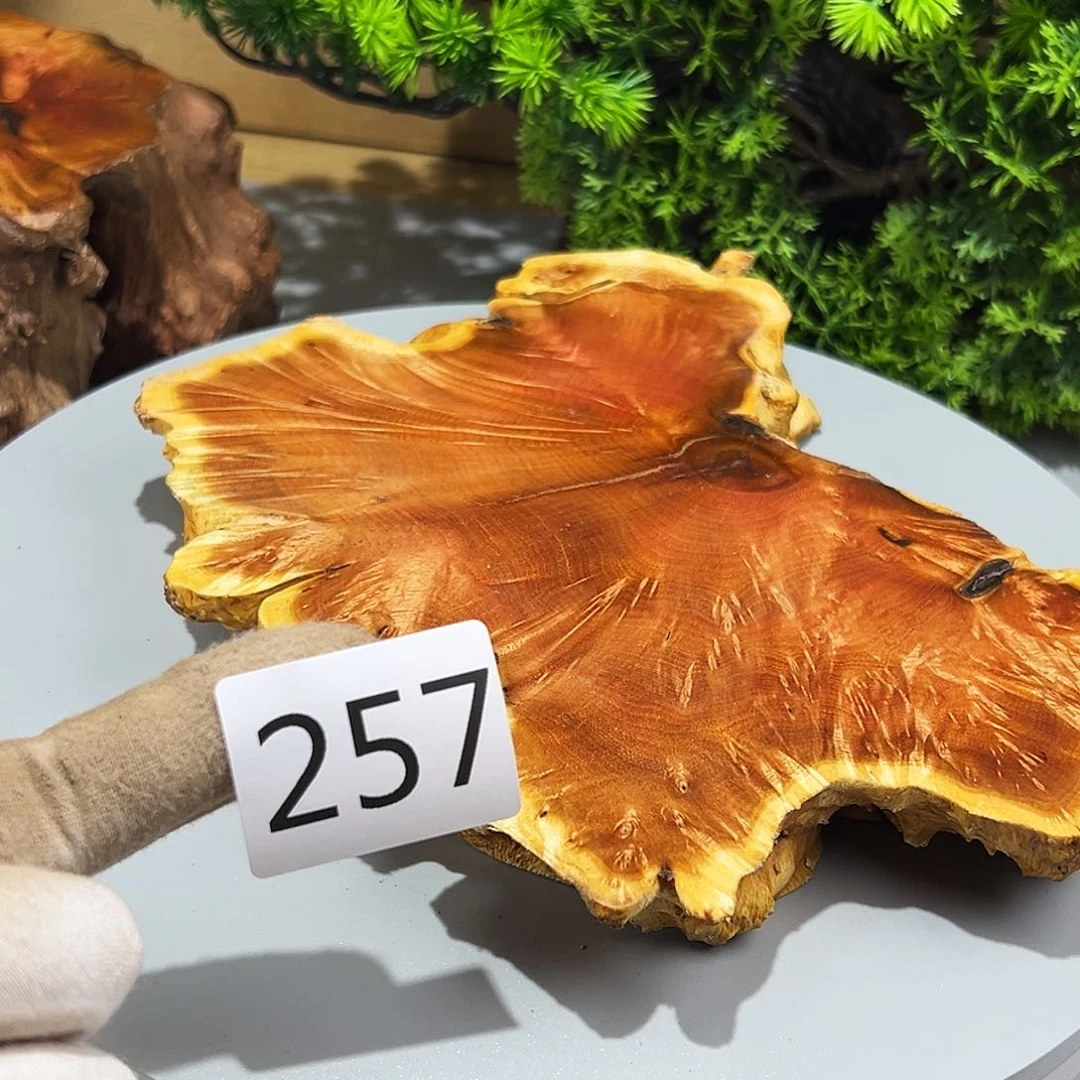 梨木踏*火琉璃……