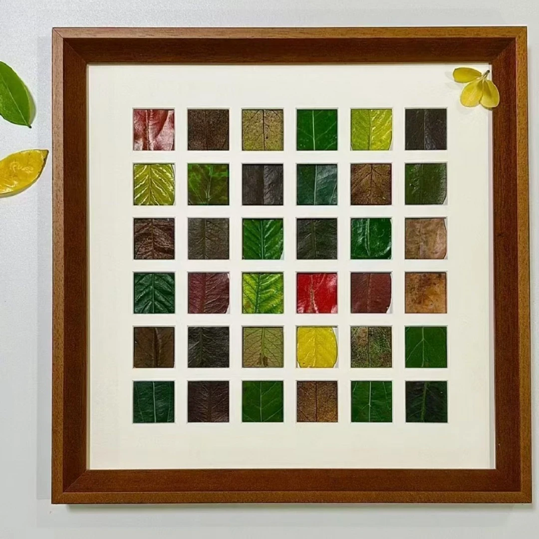 落叶相框48/36宫格diy树叶标本框枫叶亲子手工标本设计高颜值摆台
