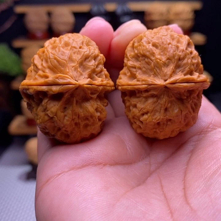 木质类云铁凤冠18号