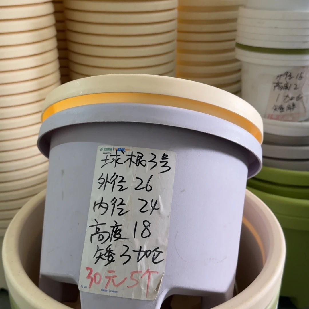 球根3号灰白6个盆