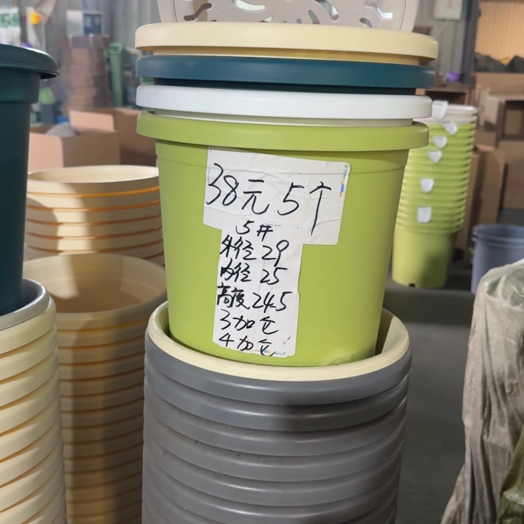 四季5#口径29无拖果绿10个