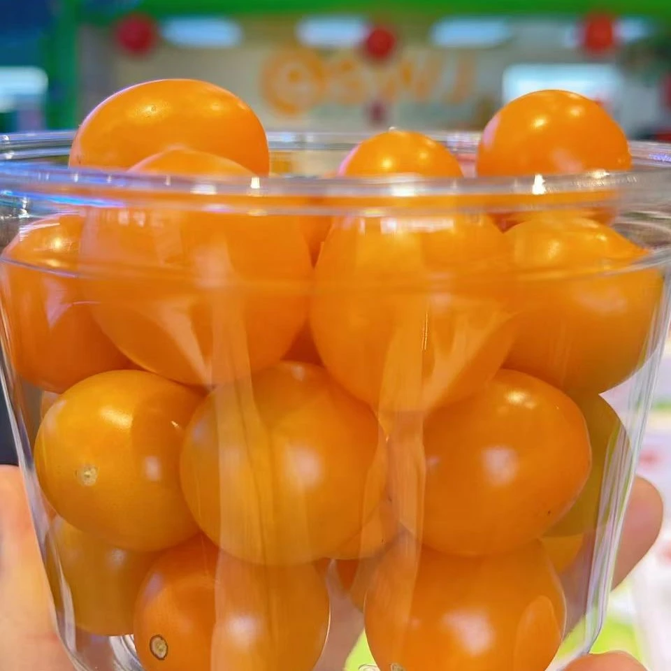 爆汁黄番茄 400g黄色樱桃小番茄海南省海南省三亚市