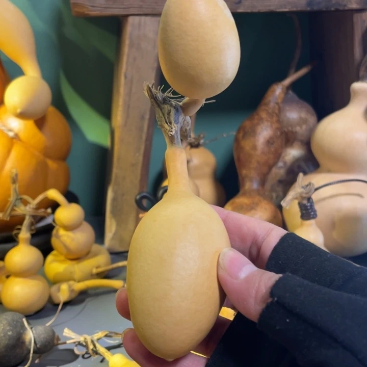 看好下单不保龙头