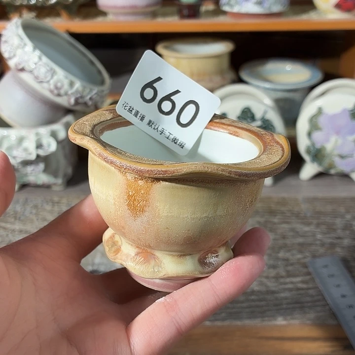 花盆花盆花盆花盆