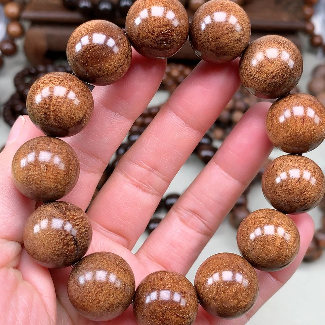 【闪购商品】贡木其他巴贡龙鳞黄金龙1.8