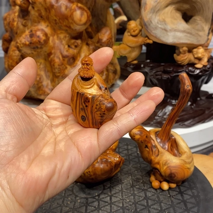 柏木（崖柏）崖柏111111111