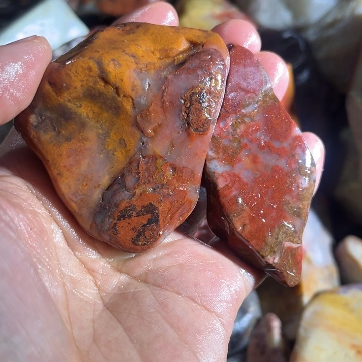 上***室寿山石888888888888