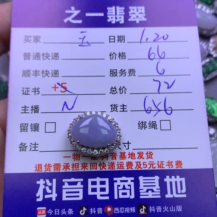 翡翠颈饰银S925镶嵌玉*意