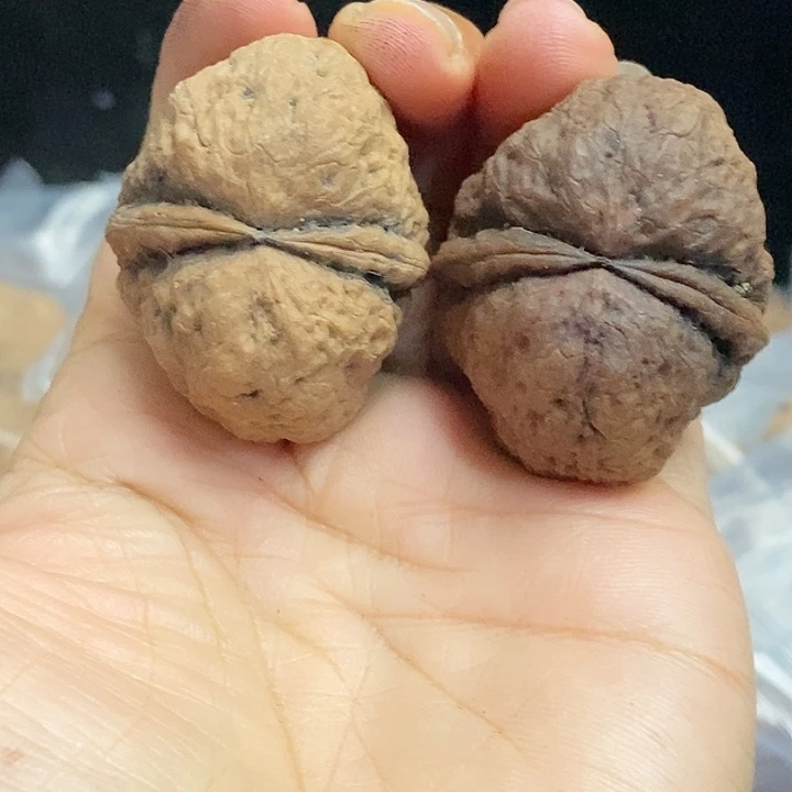 把件文玩核桃云南铁核桃基地96