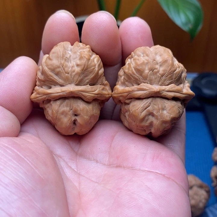手串/手链核桃蛤蟆头33➕，全品