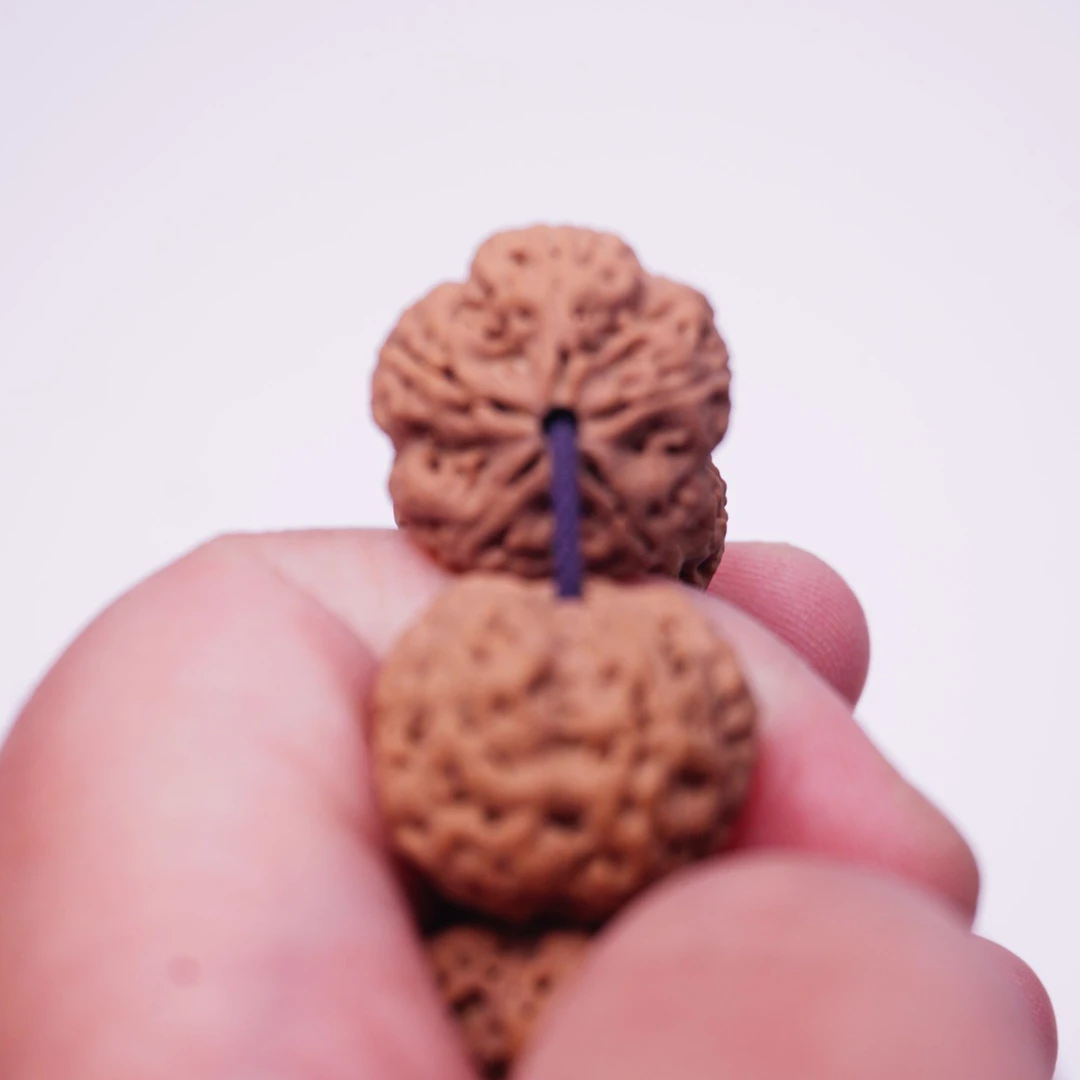 【麒麟】细纹爆肉头尾双五星大金刚手串