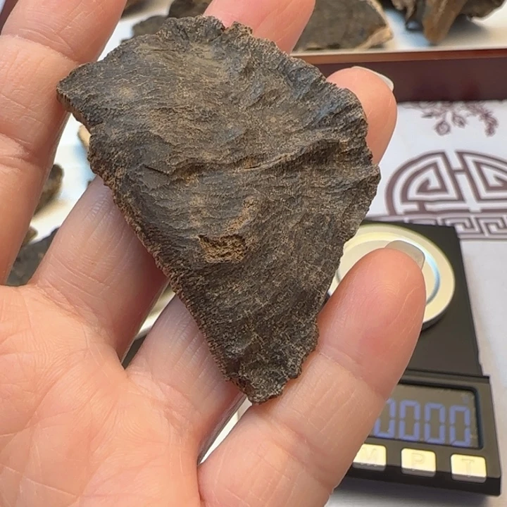 沉香摆件雷*顿海南琼中包头3.1克