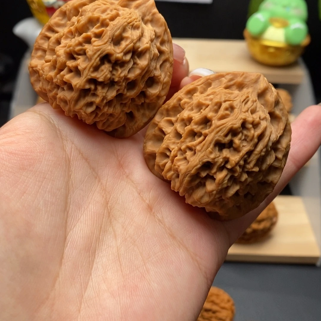 44.5-42-45最大尺高炮 擎天柱涿鹿老树一代全品