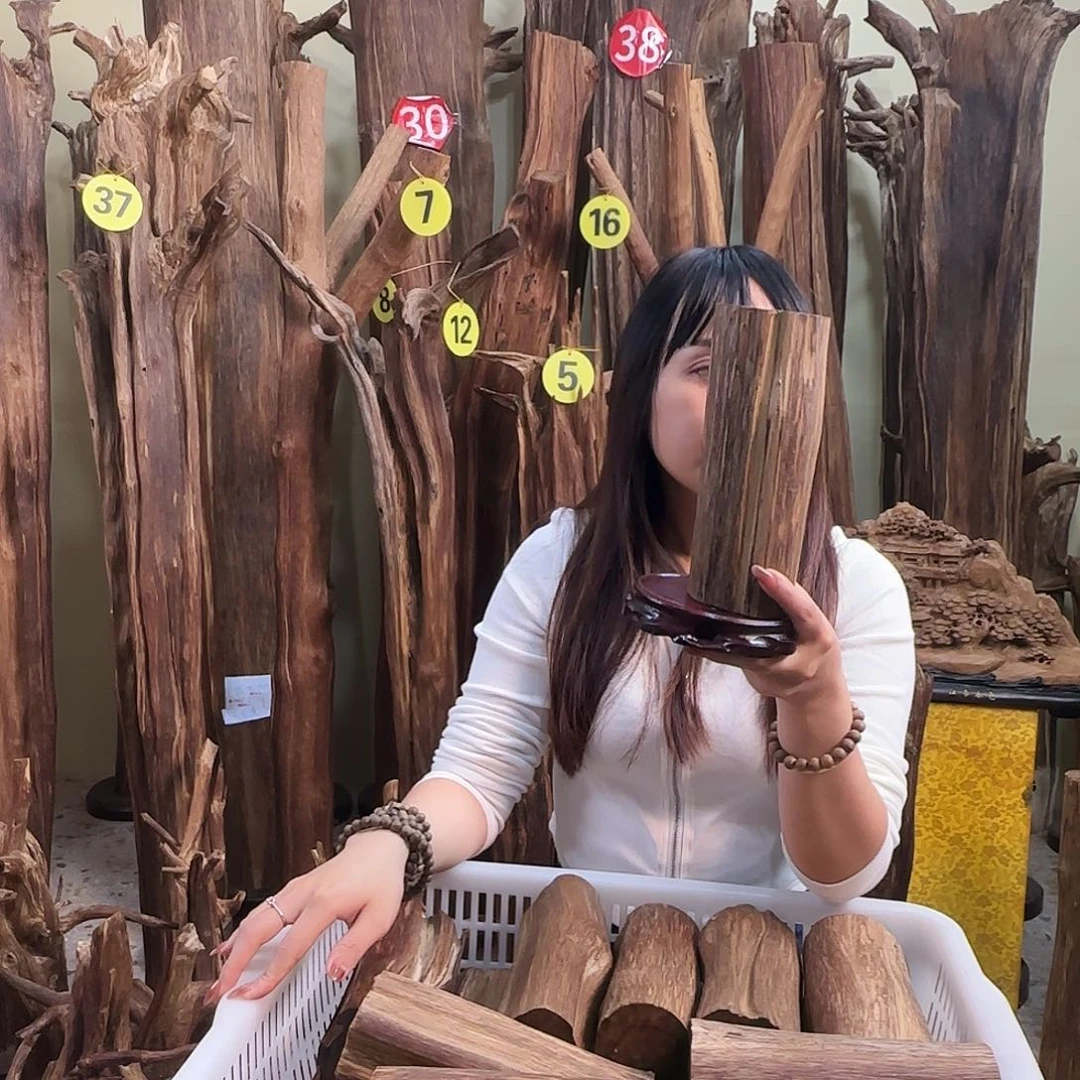 沉香沉香碎屑天然沉香原材料香料熏料