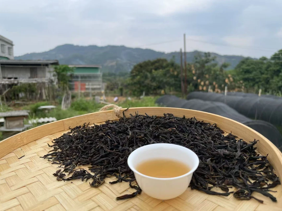 潮州凤凰单丛2025生态蜜兰香新鲜出炉入口纯厚花香浓郁香甜爽口