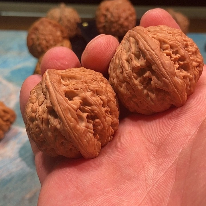 热***爱文玩核桃把件蛟龙点修42