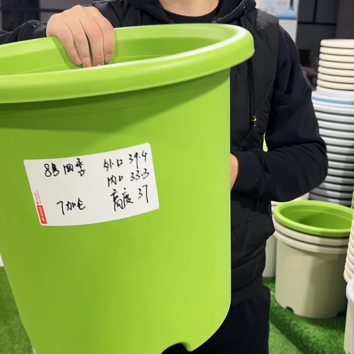 特价8号口39高37果绿色5只无托