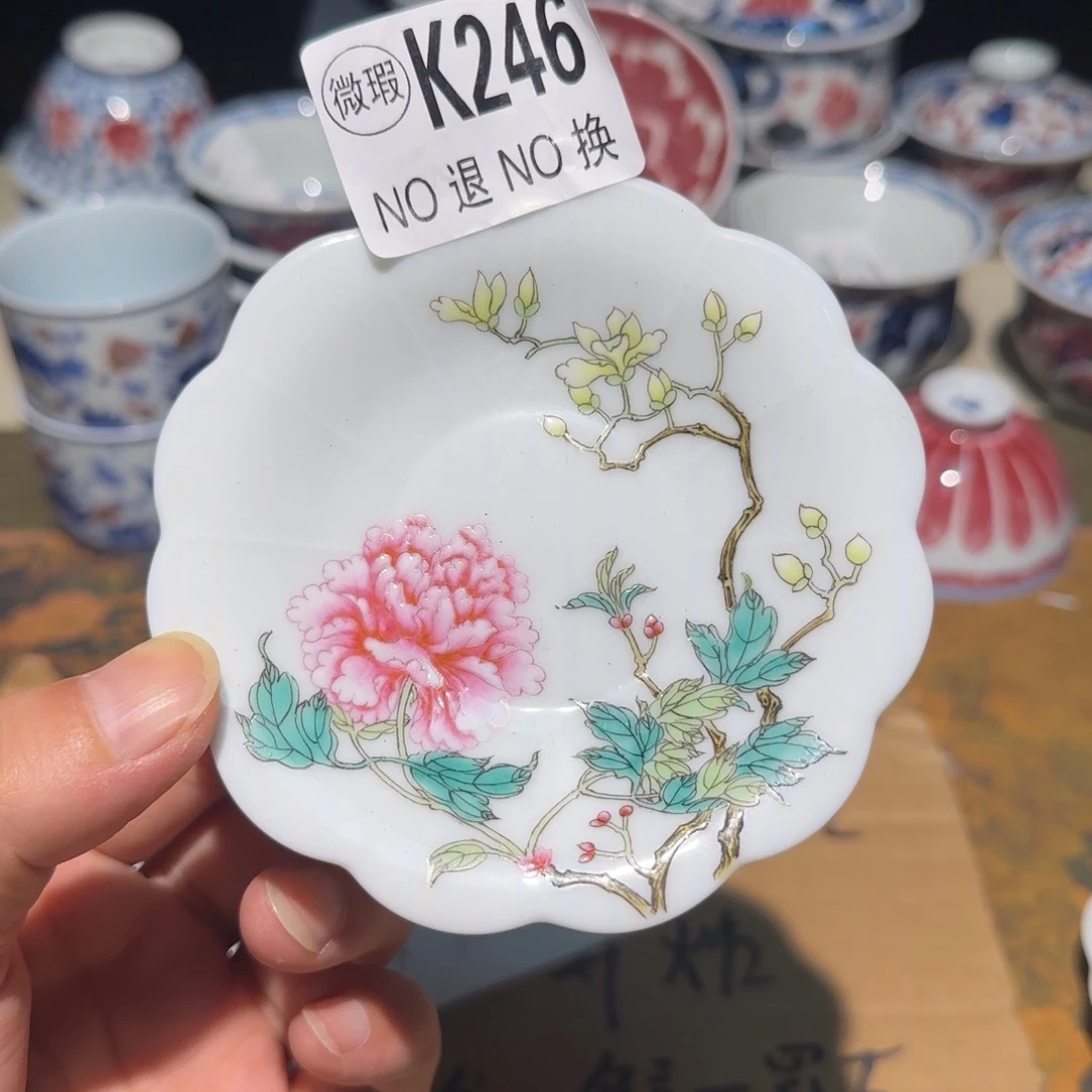 主人杯杯杯杯杯杯246