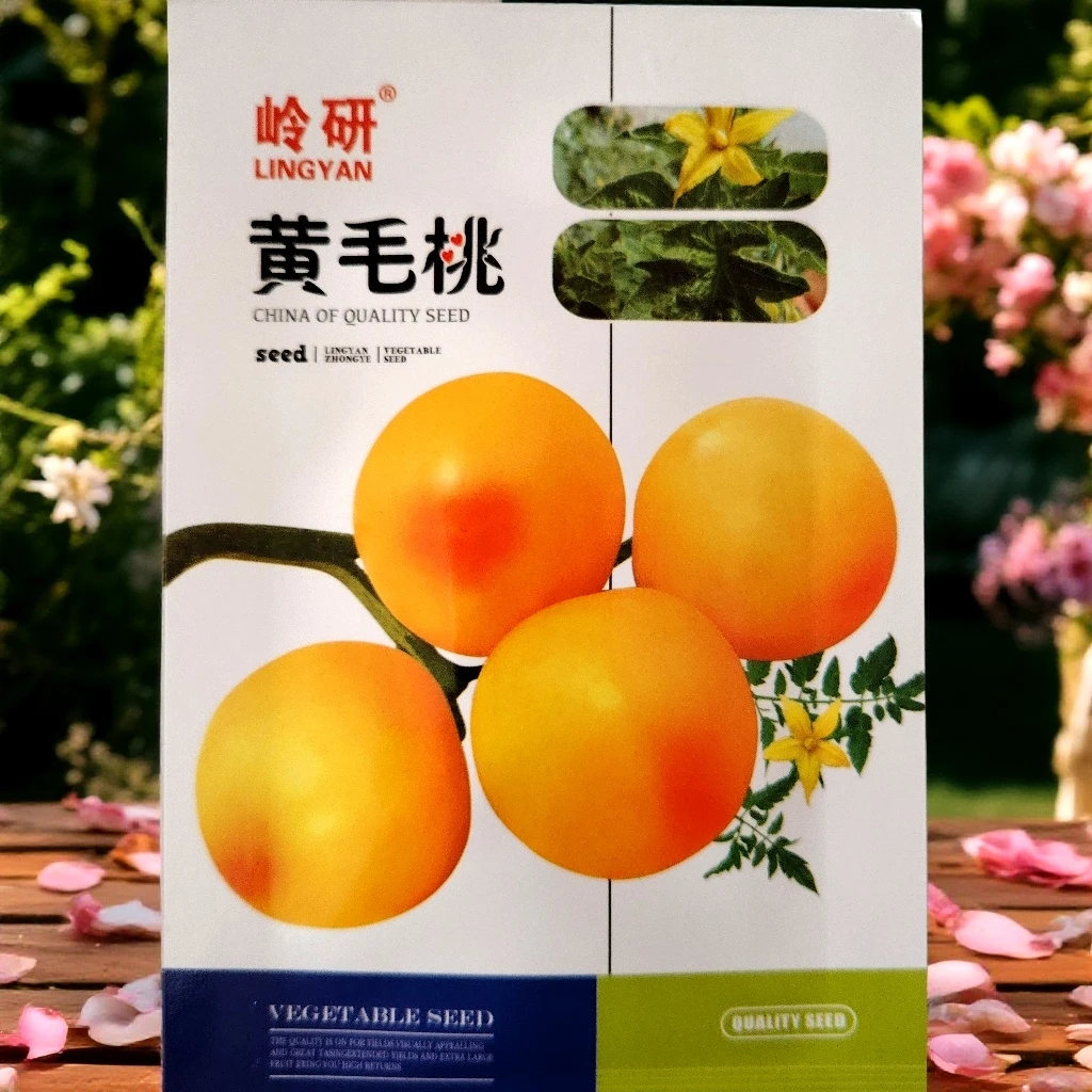 黄毛桃柿子籽300粒左右