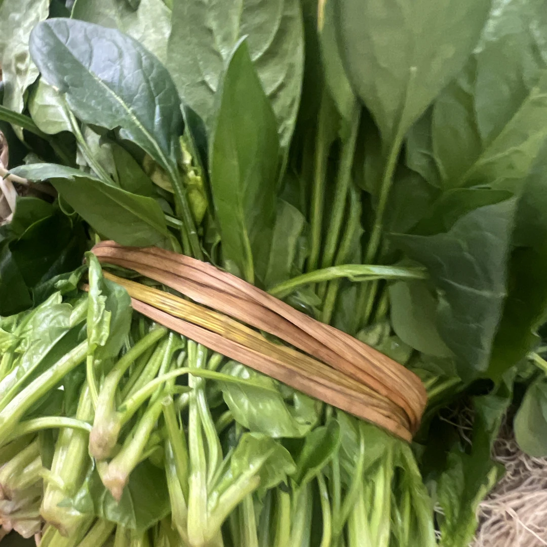 （京东包邮）垫江农家自种菠菜