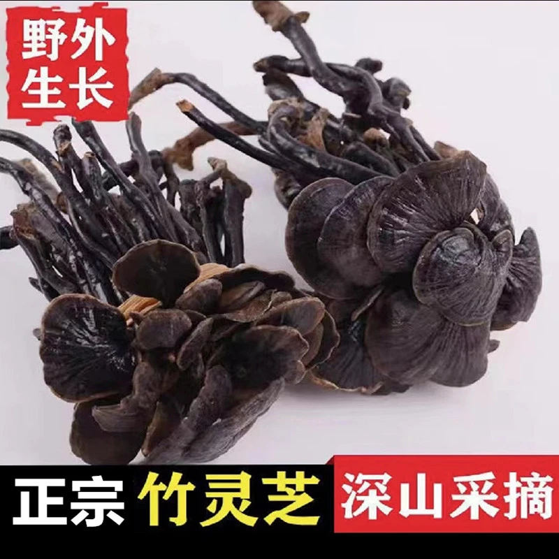 正品灵芝干货泡酒竹灵芝山货正宗云南灵芝草菌泡茶林芝草特产煲汤
