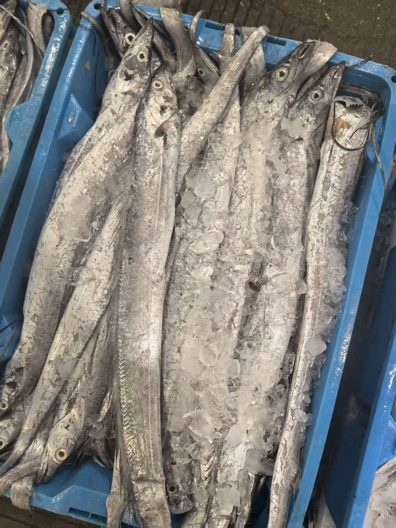 【4斤油带鱼】东海野生油带鱼 去肚去内脏 顺丰冷链包邮