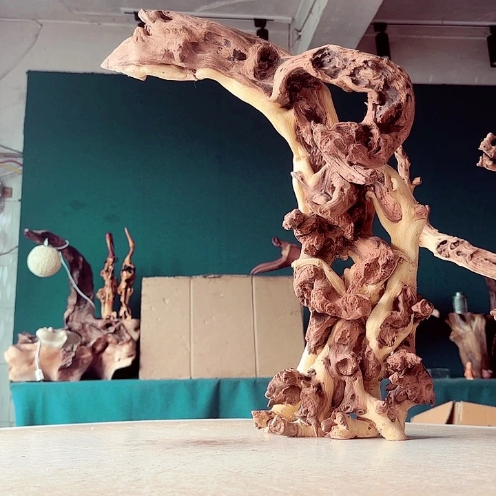 热***.木314 金丝红木羊蹄甲半成品
