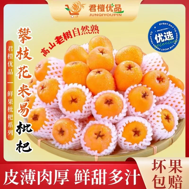 【顺丰快递】正宗米易枇杷新鲜采摘攀枝花高山水果产地直发爆甜多汁