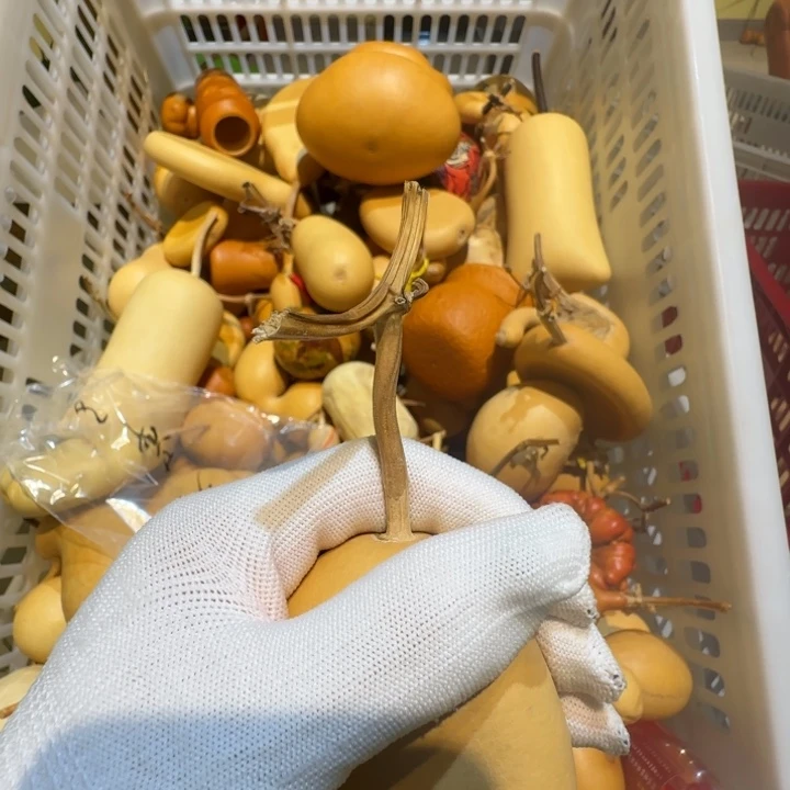 *****哈哈哈哈哈哈哈哈哈哈哈