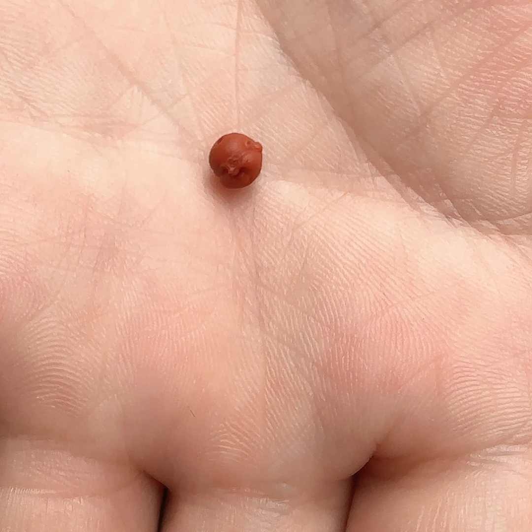 南红玛瑙手串未镶嵌