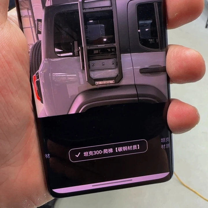 茶****影坦克300。顶火爬梯