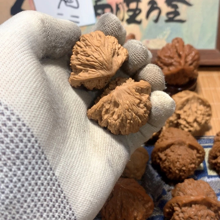 最***子哈哈哈哈哈哈哈哈哈哈