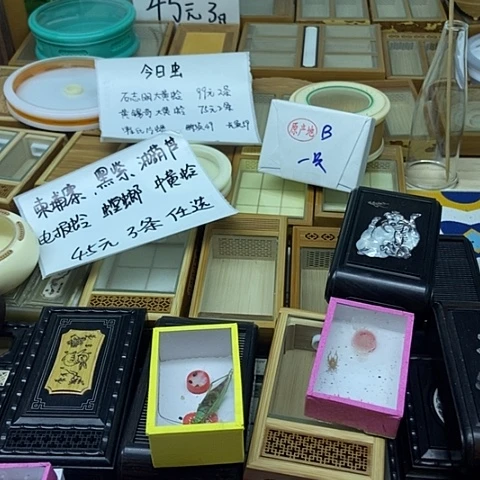 用***人电报蛉一只 群养小黄蛉两盒