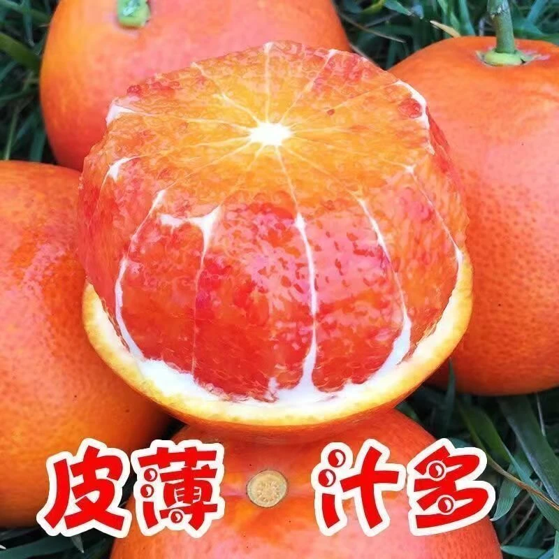 [辛平优选】四川血橙新鲜橙子塔罗科薄皮红橙当季孕妇手剥脐橙水果