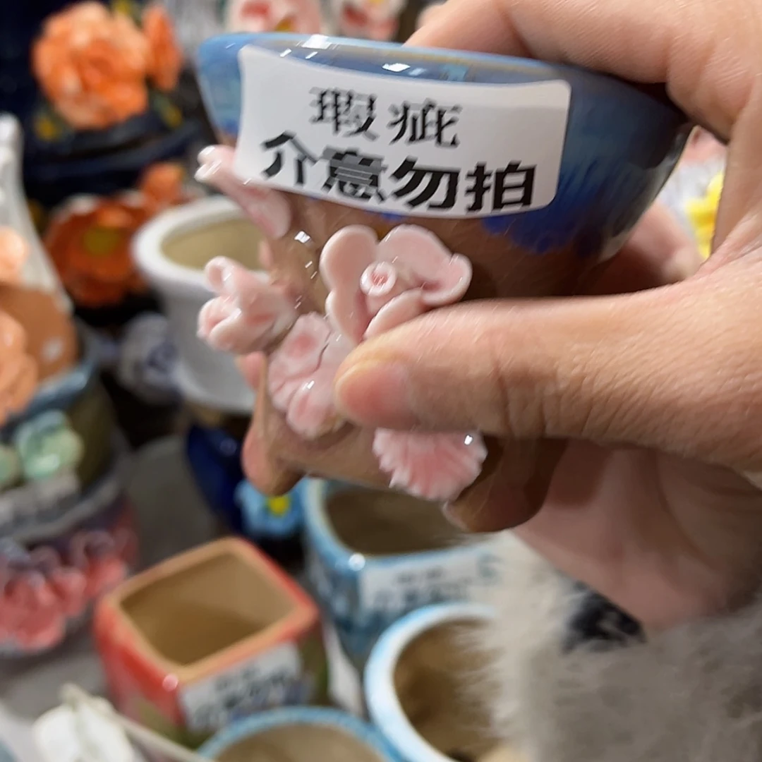 【闪购商品】红陶福利