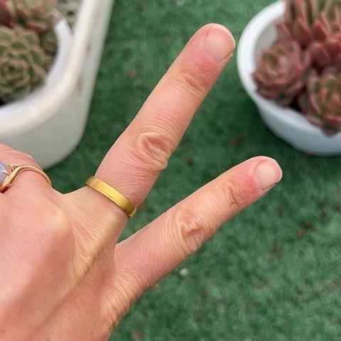 自家土2包植物多肉