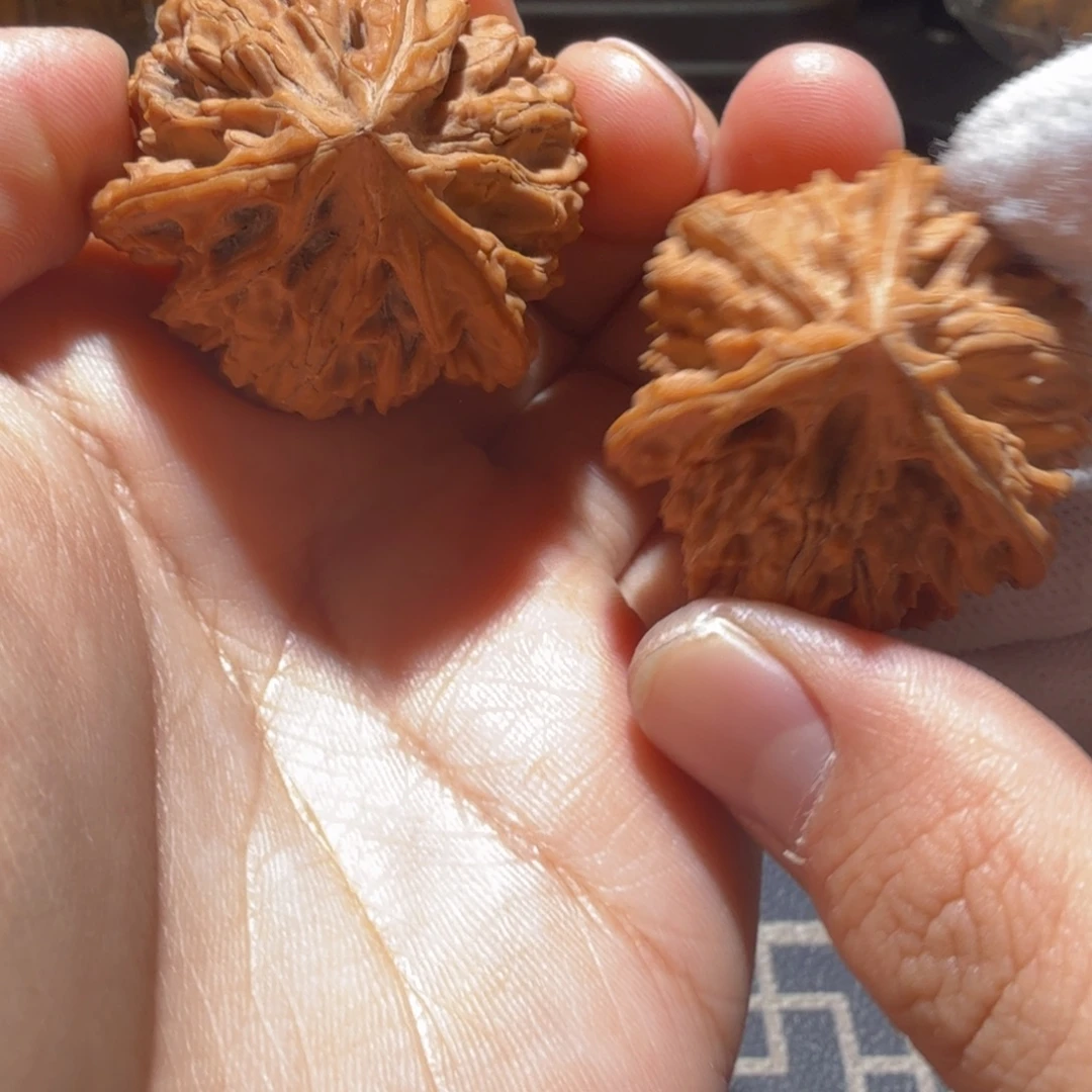 散***人文玩核桃把件御龙正奔