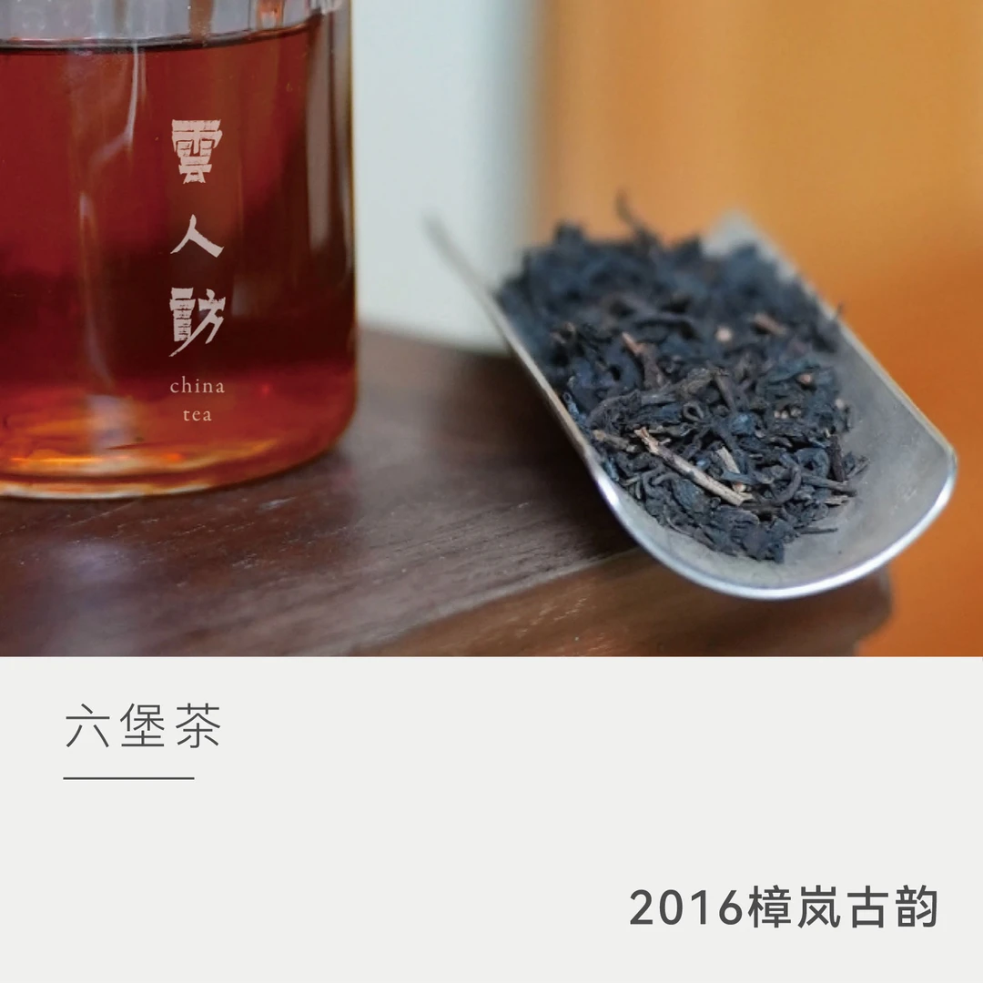 【淘一淘 樟岚古韵】2016年六堡茶古树樟香 茶叶黑茶 双蒸双压
