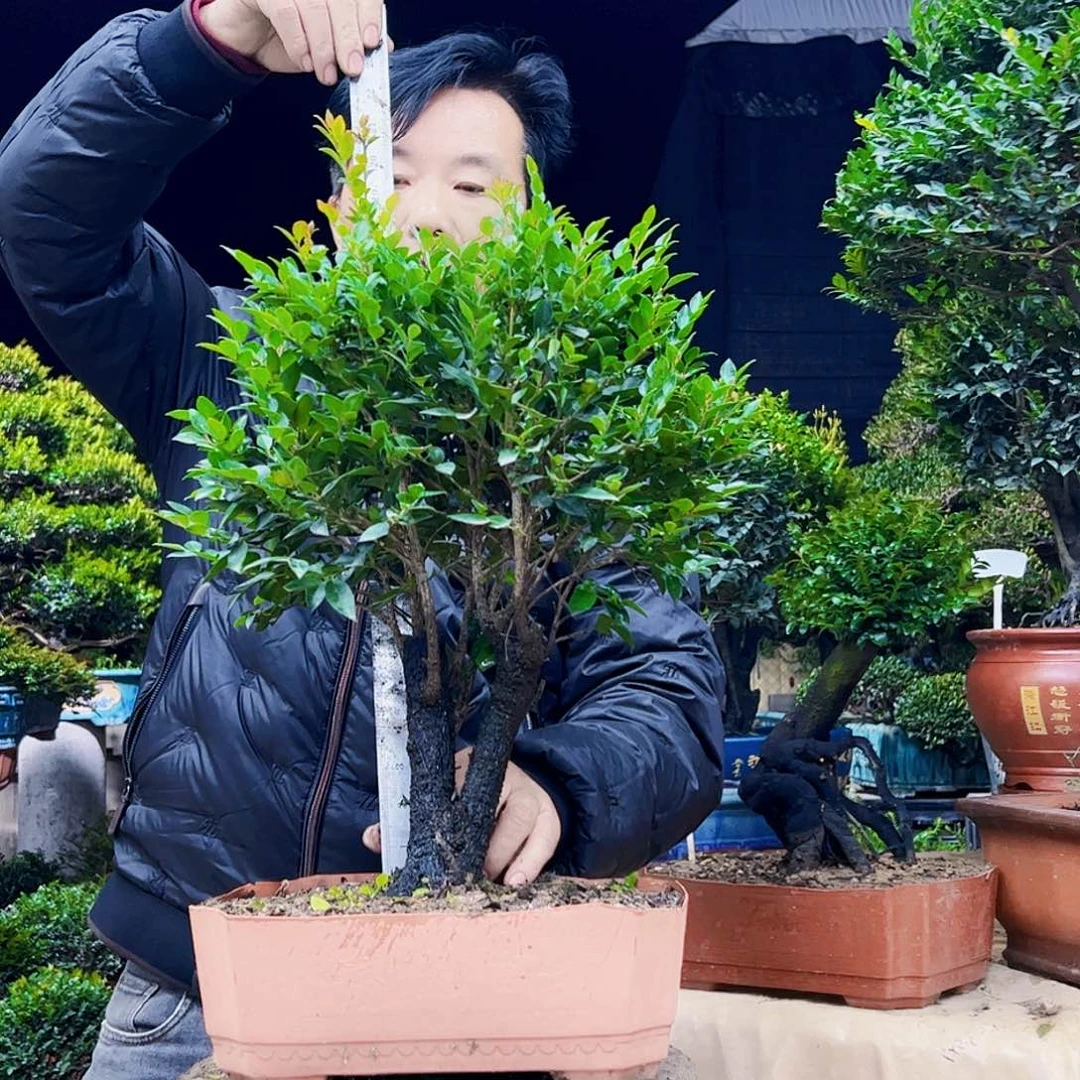 以实际为准每*123455678